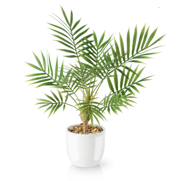Areca Kunstpflanze mit schlanken grünen Blättern im weißen Keramiktopf