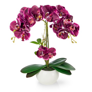 Künstliche Orchidee mit purpurfarbenen Blüten im weißen Keramiktopf