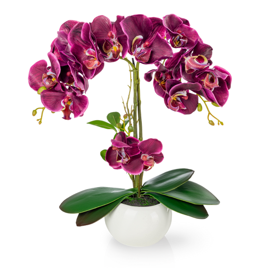 Künstliche Orchidee mit purpurfarbenen Blüten im weißen Keramiktopf