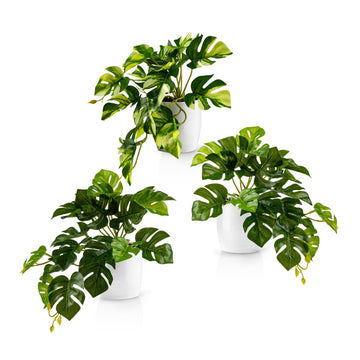 Drei hängende Monstera-Kunstpflanzen in weißen Keramiktöpfen