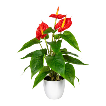 Künstliche exotische Pflanze mit roten Blüten und weißen Blumentopf – tropische Kunstpflanze zur Dekoration