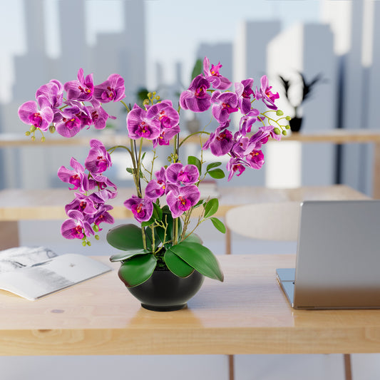 Detailaufnahme der lila Orchideenblüte mit natürlicher Struktur
