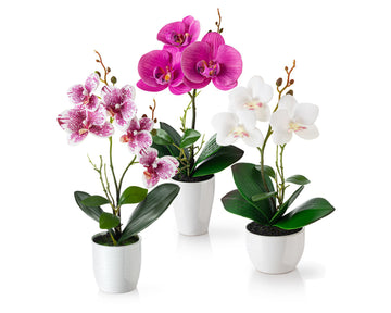 Orchideen Arrangements (35cm)