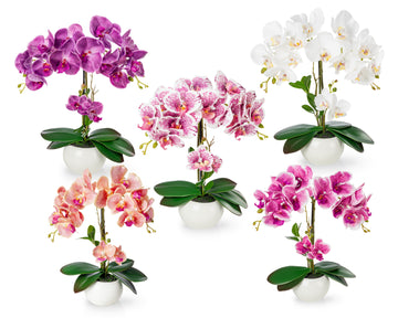 Orchideen Arrangements (35cm)