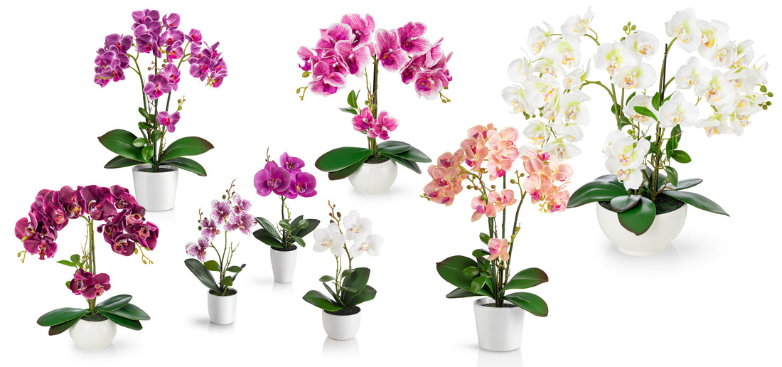 Orchideen in Keramiktöpfen