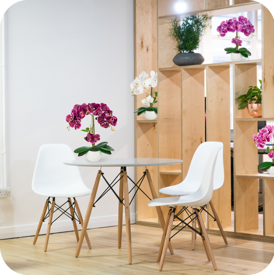 Künstliche Orchideen in Keramiktöpfen (4 Stück, 40cm) - Weiße Töpfe