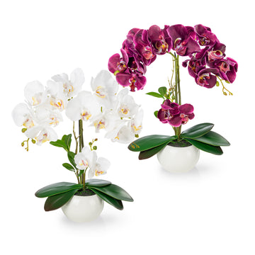 Künstliche Orchideen in Keramiktöpfen (2 Stück, 40cm) - Purpur-Weiß
