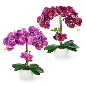 Künstliche Orchideen in Keramiktöpfen (2 Stück, 40cm) - Purpur-Lila