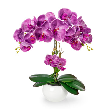 Künstliche Orchidee in Keramiktopf (40cm) - Lila