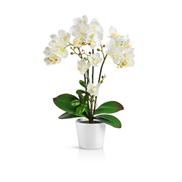 Weiße künstliche Orchidee im eleganten Keramiktopf auf Holztisch