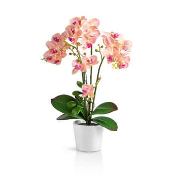 Künstliche Orchidee in glänzendem weißen Keramiktopf auf Holztisch