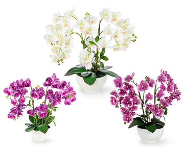 XXL Real Touch Orchideen (56cm)
