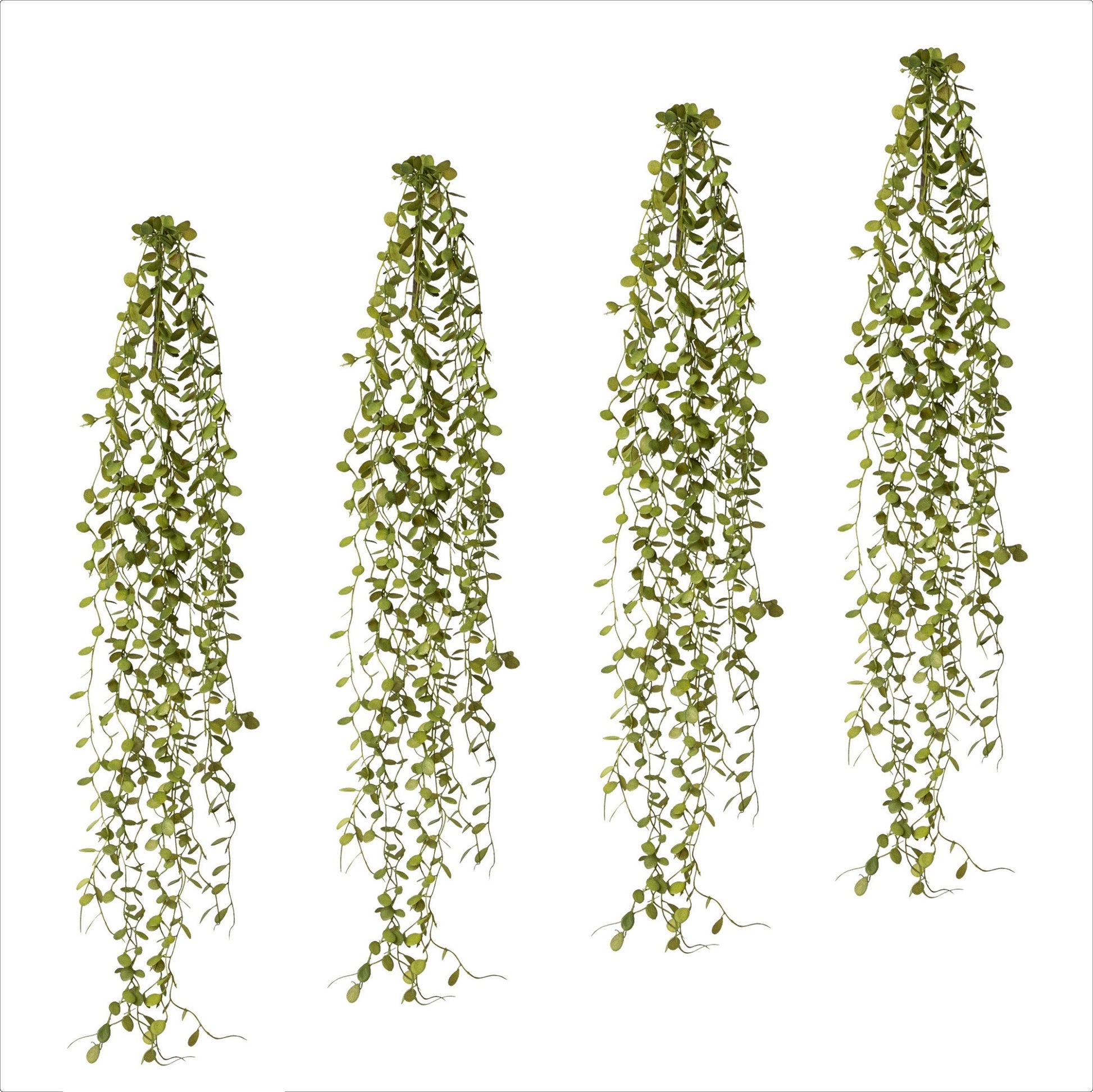 Vier künstliche Mühlenbeckia-Hänger in grün, je 71 cm lang, mit dichtem, naturgetreuem Blattwerk.