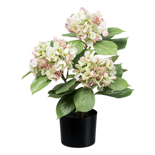 künstliche Hortensie im Topf mit Erde rosa grün creme