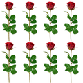 Acht realistische rote Kunstrosen mit langen grünen Stielen und Blättern auf weißem Hintergrund – elegantes 8er-Set für Dekoration und Floristik.