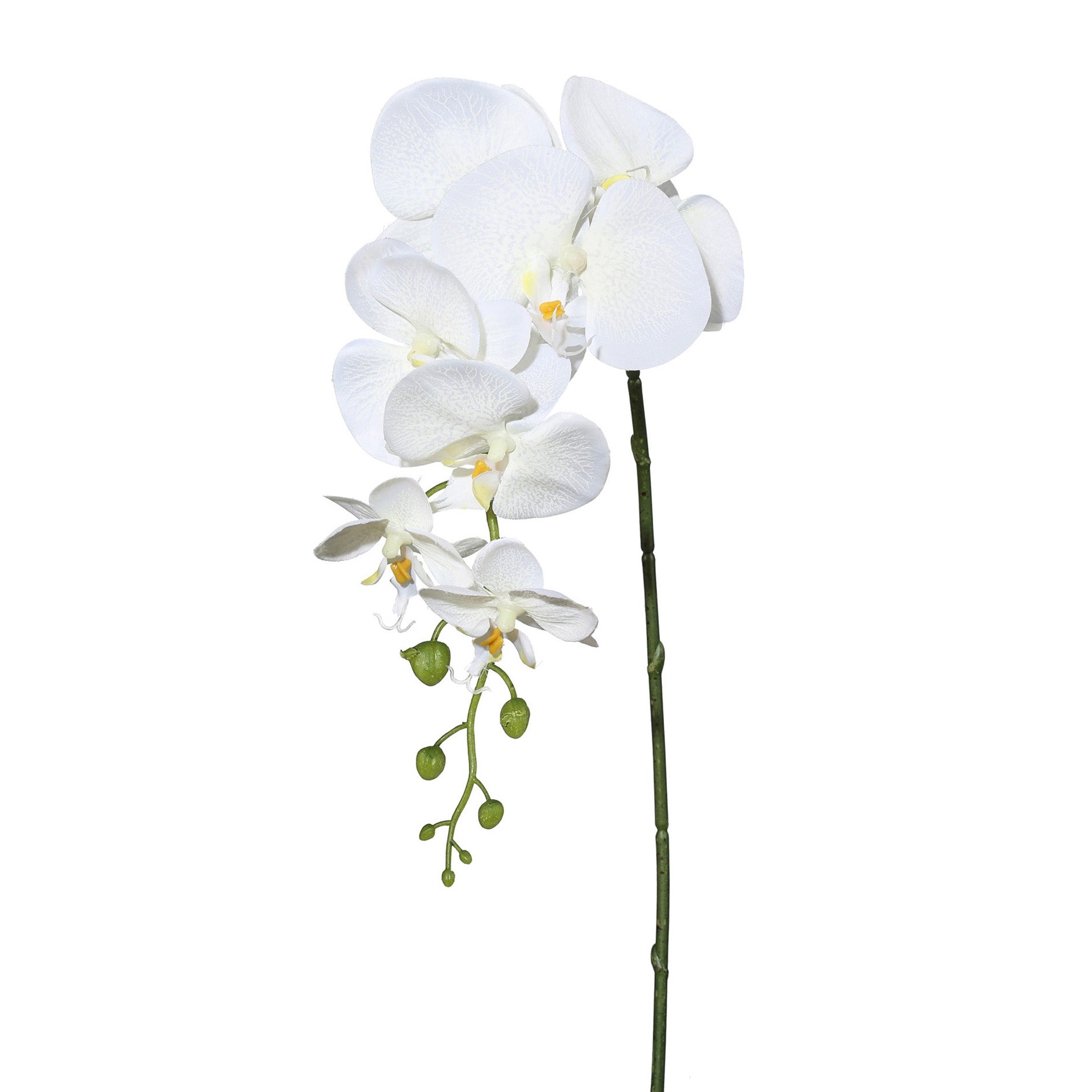Realistisch gestaltete künstliche Phalaenopsis-Orchidee in Weiß – Dekoblume auf Stiel für stilvolle Arrangements.