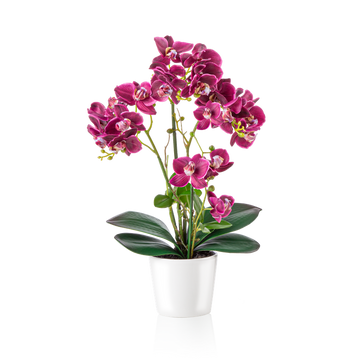 Künstliche Orchidee in Weißtopf, freigestellt auf weißem Hintergrund
