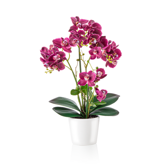 Künstliche Orchidee in Weißtopf, freigestellt auf weißem Hintergrund