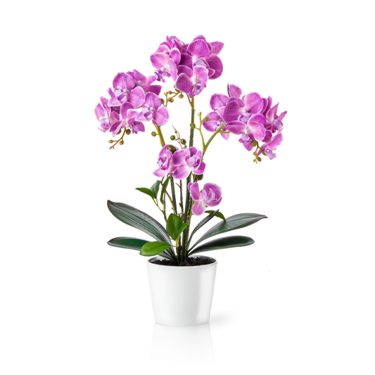 Künstliche Orchidee rosa mit Blüten im weißen Blumentopf – täuschend echt