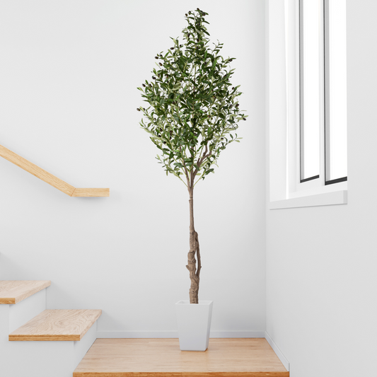 Gesamte Ansicht des 210 cm hohen künstlichen Olivenbaums im Wohnzimmer
