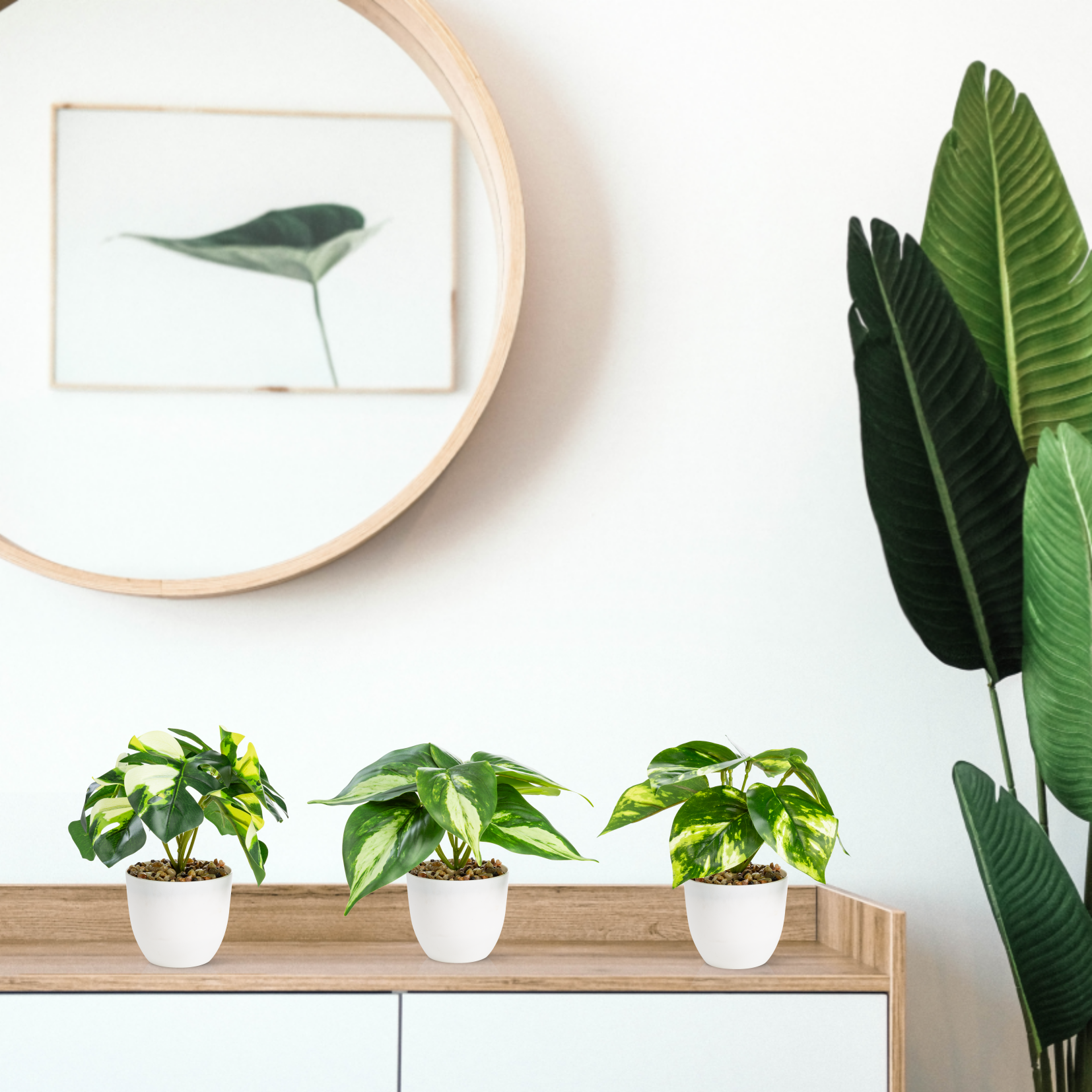 Nahaufnahme: Strukturierte Blätter der Kunstmonstera im weißen Topf