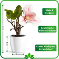 Kunstblumen Magnolie in Keramiktopf – pflegeleichte Frühlingsdeko für jedes Zuhause