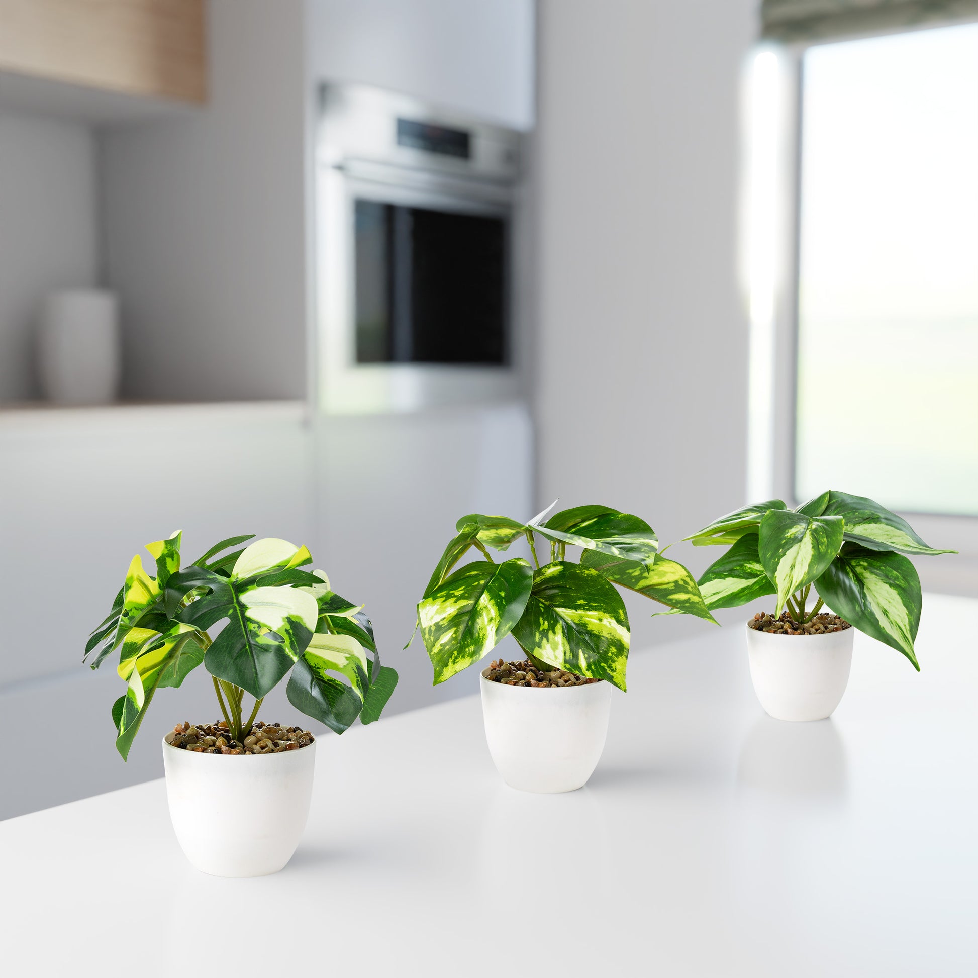 Detailaufnahme der Monstera-Blätter in hochwertigem Melamintopf