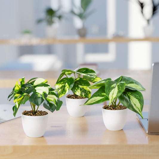 Künstliche Efeu- und Monstera-Pflanzen im dekorativen Topf auf Tisch