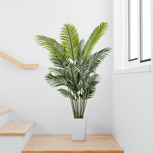 Detaillierte Ansicht der feingliedrigen, gefiederten Areca-Palmenblätter