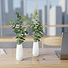Künstlicher Eukalyptus dekorativ auf einem Holztisch im Wohnzimmer