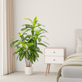 Künstlicher Drachenbaum mit naturgetreuen Blättern in modernem Wohnraum