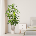 Elegante, schlanke Drachenbaum-Kunstpflanze in modernem Wohnraum