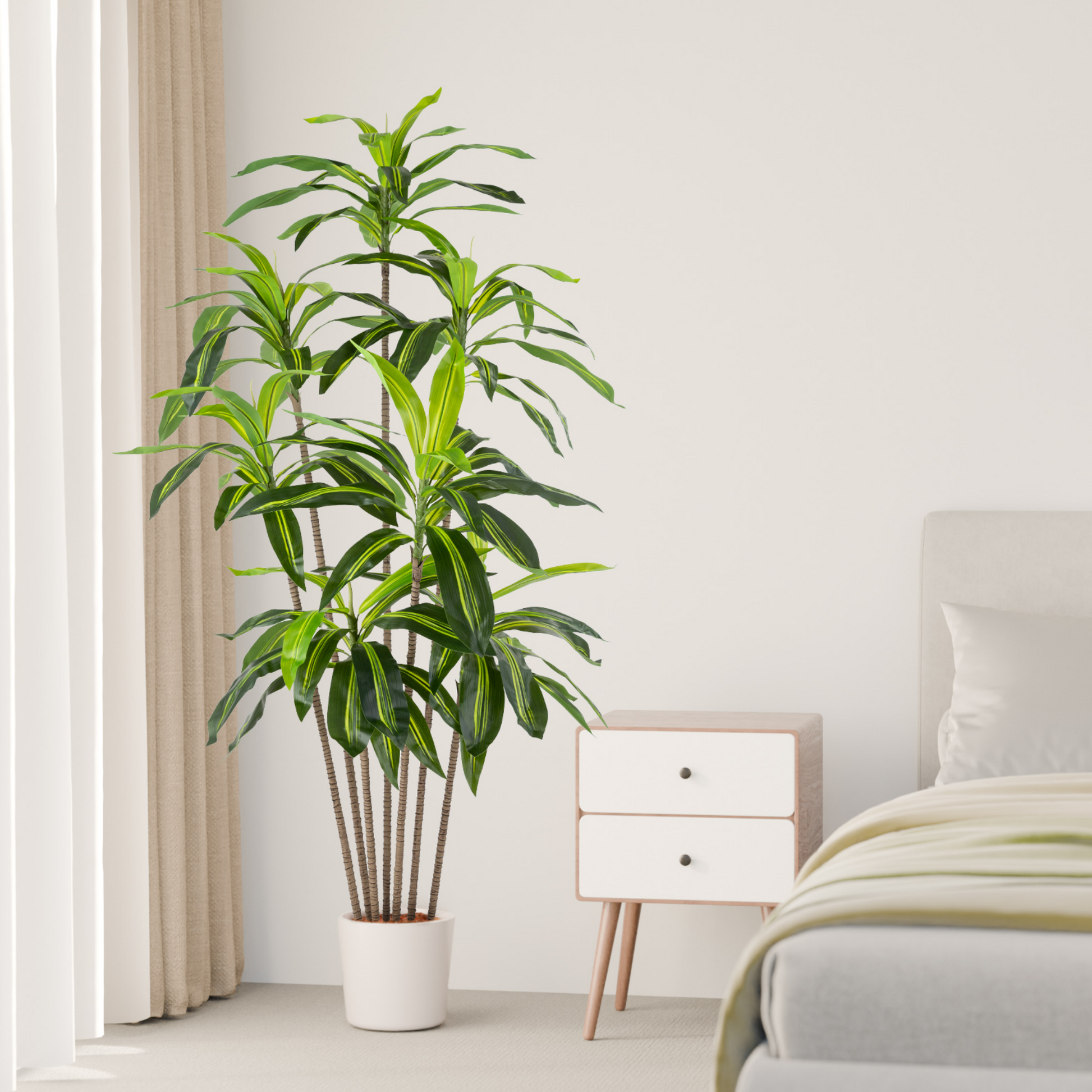 Elegante, schlanke Drachenbaum-Kunstpflanze in modernem Wohnraum