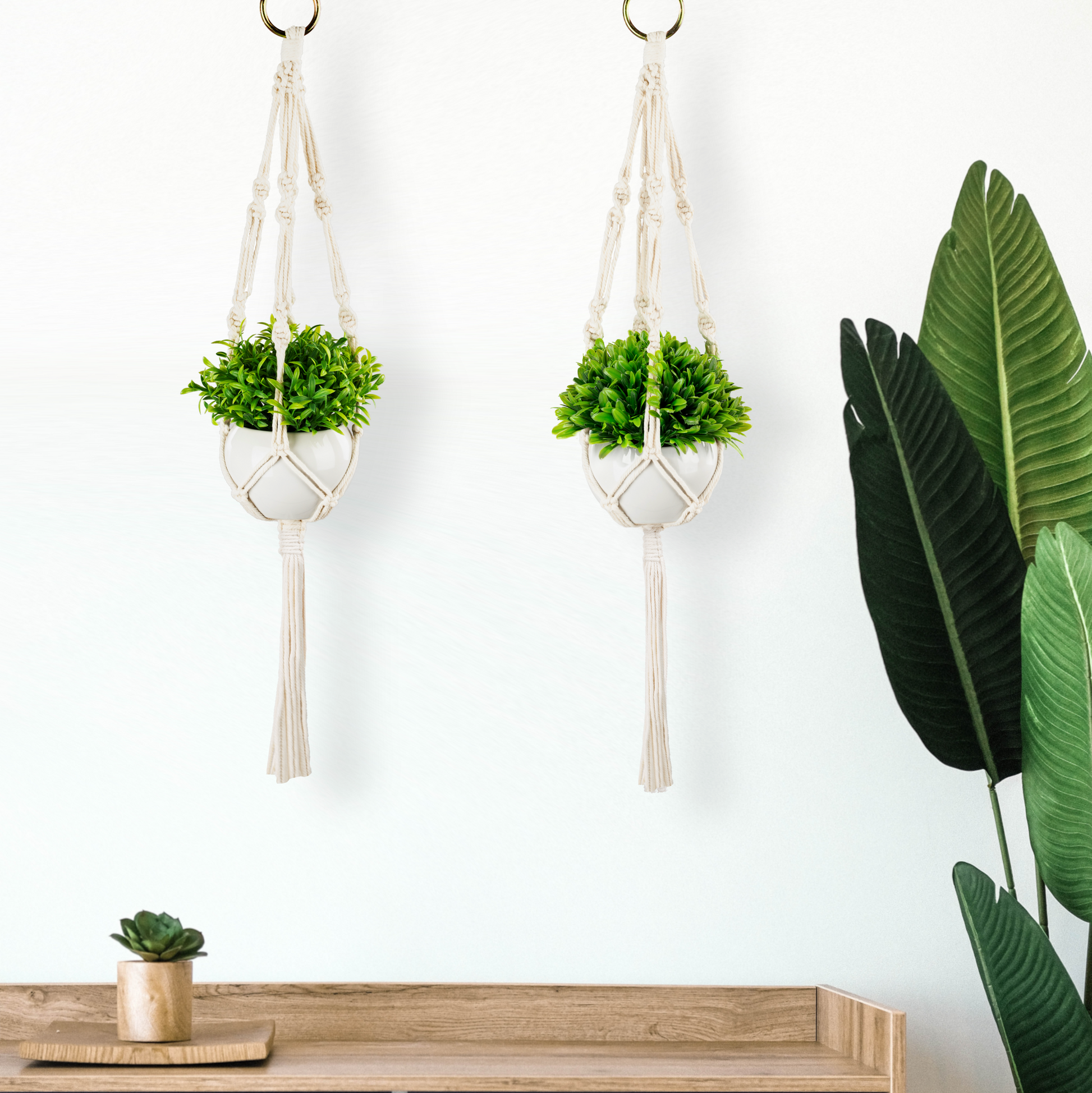 Doppelpack Makramee Blumenampeln mit eleganten Hochglanz-Keramiktöpfen
