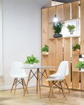 Detailaufnahme der fächerartigen Blätter der Areca-Palme im Keramiktopf