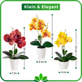 Nahaufnahme einer roten Orchidee mit realistischen Blüten und Blättern