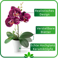 Pflegeleichte Orchideen in Keramiktöpfen als Badezimmerdekoration