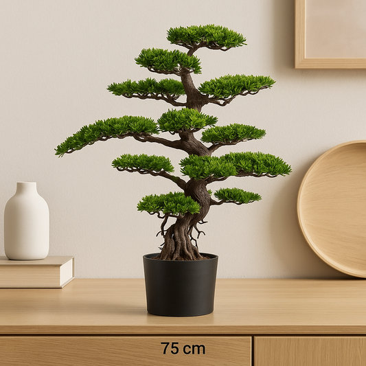 Bonsai, ca. 75cm, im Topf 17x14cm schwarz, Kunststoff