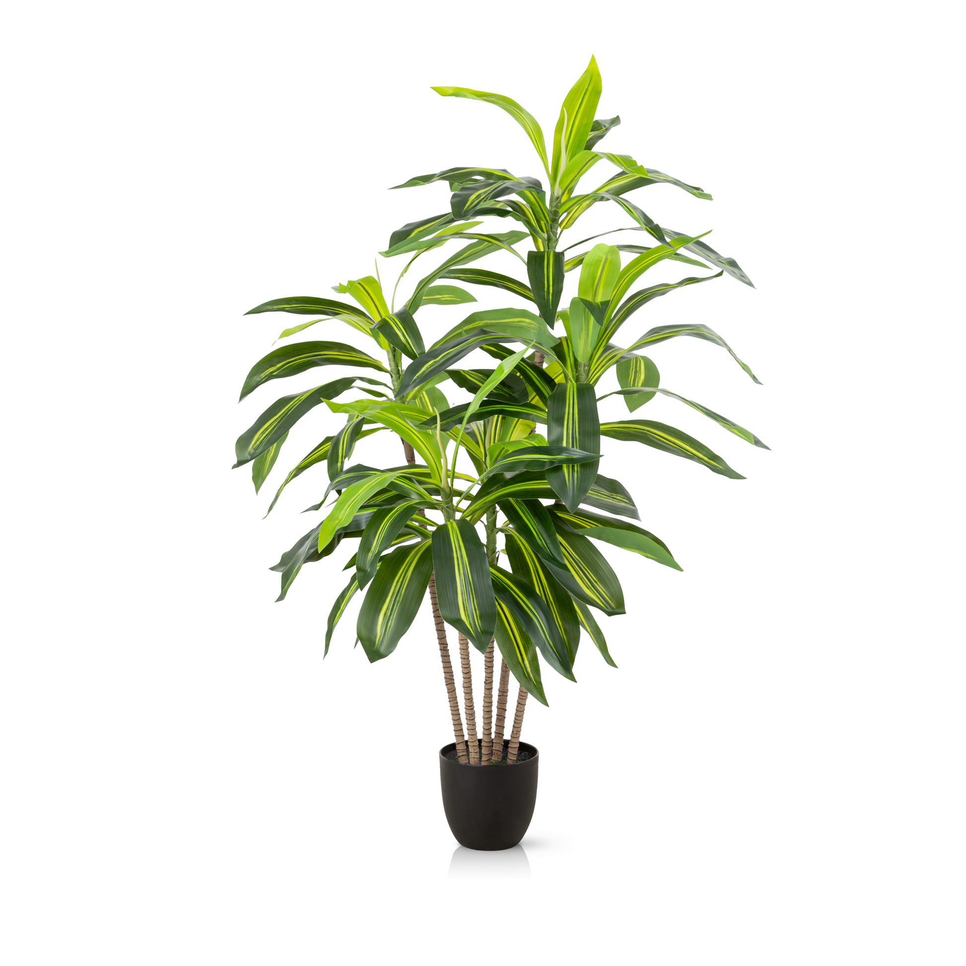 Künstlicher Drachenbaum mit naturgetreuen Blättern in modernem Wohnraum