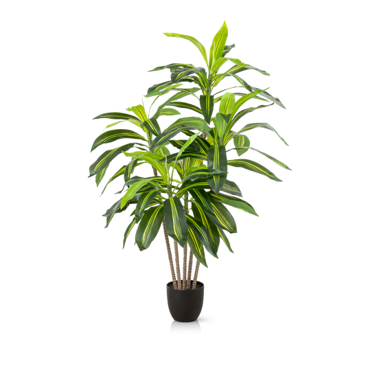 Künstlicher Drachenbaum mit naturgetreuen Blättern in modernem Wohnraum