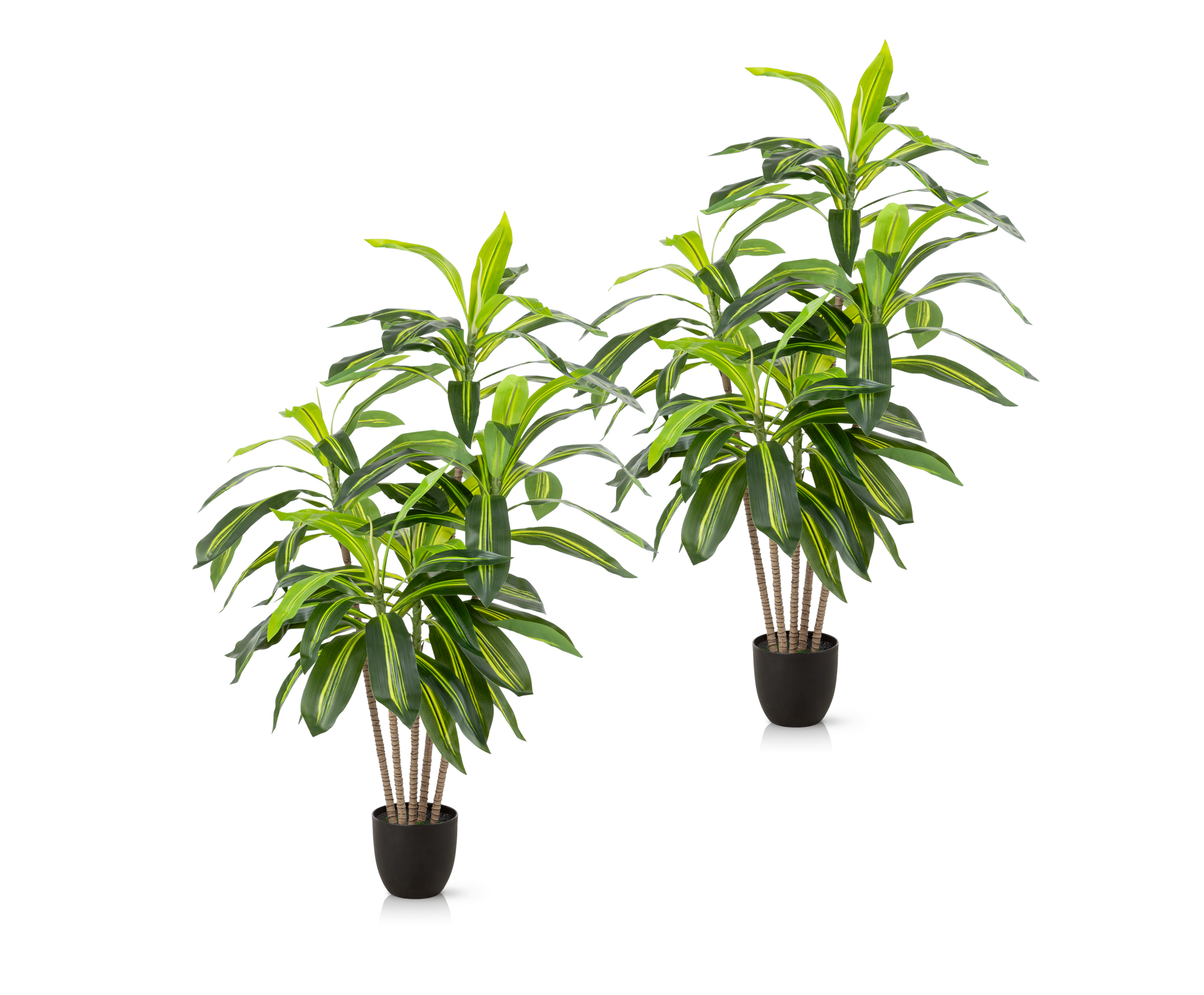 Künstlicher Drachenbaum mit naturgetreuen Blättern in modernem Wohnraum