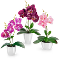 Drei künstliche Orchideen in eleganten Keramiktöpfen auf Fensterbank dekoriert