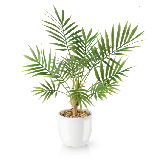 Areca Kunstpflanze mit schlanken grünen Blättern im weißen Keramiktopf