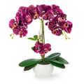 Künstliche Orchidee mit purpurfarbenen Blüten im weißen Keramiktopf