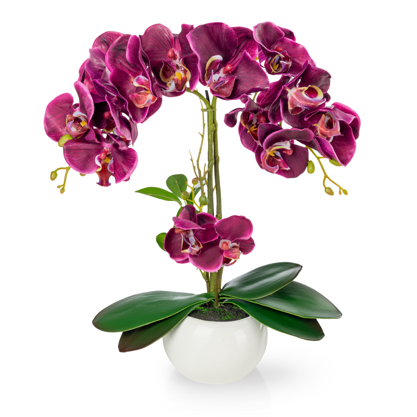 Künstliche Orchidee mit purpurfarbenen Blüten im weißen Keramiktopf