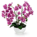 Detailansicht der weißen künstlichen Orchidee mit rosafarbenen Akzenten im Keramiktopf