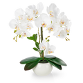 Weiße künstliche Orchidee in glänzendem Keramiktopf auf Holzregal