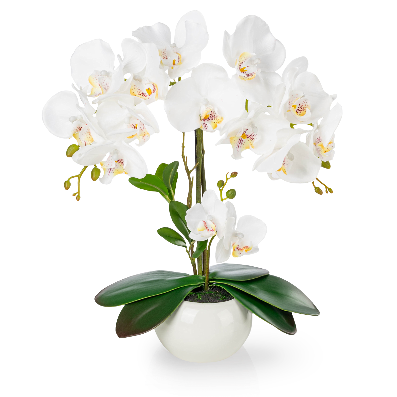 Weiße künstliche Orchidee in glänzendem Keramiktopf auf Holzregal