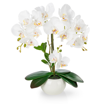 Weiße künstliche Orchidee in glänzendem Keramiktopf auf Holzregal