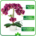 Pflegeleichte Orchidee im edlen Hochglanz-Keramiktopf, 40 cm hoch